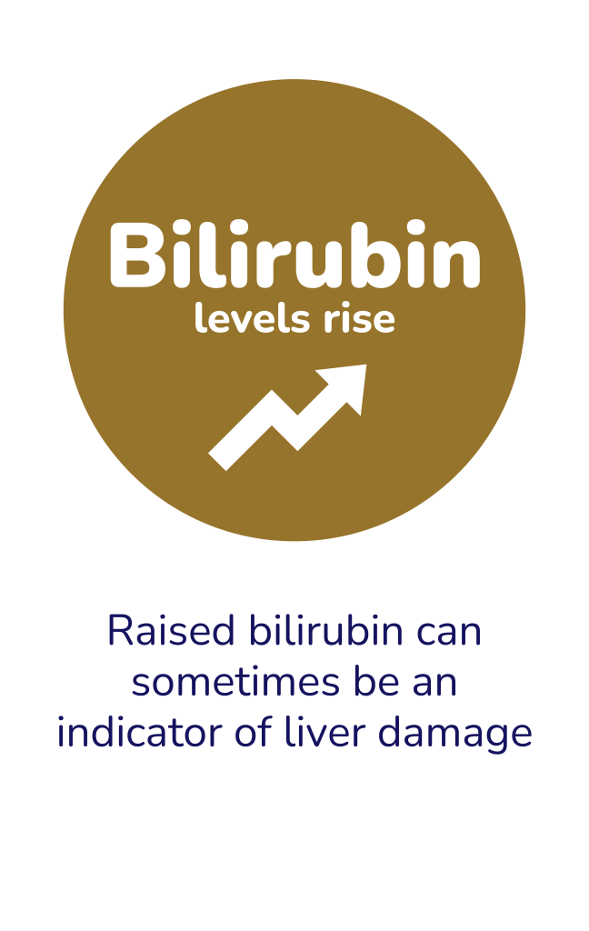 Bilirubin levels rise. Raised bilirubin can sometimes be an indicator of liver damage.